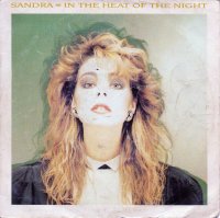 IN THE HEAT OF THE NIGHT [7"]